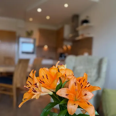 Apartmán Im Haus Nordland Nordland, App 38